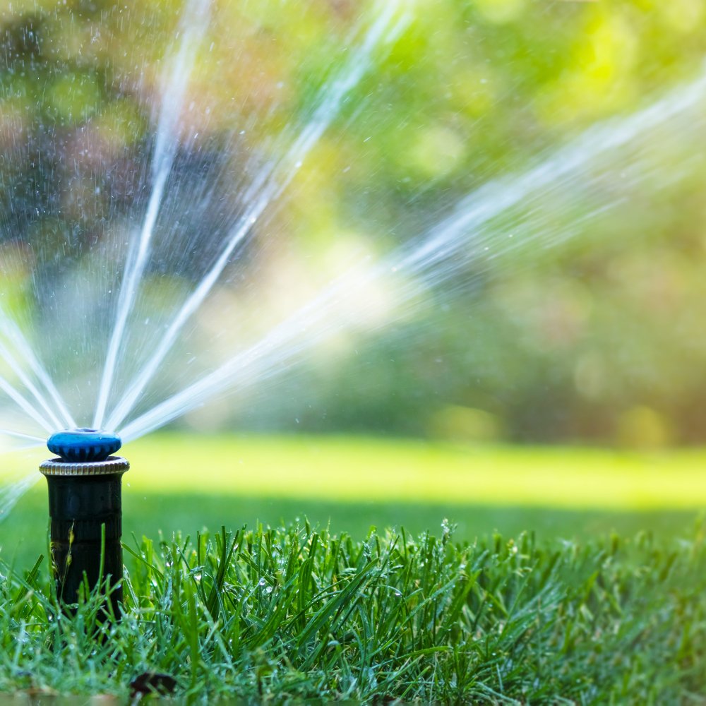 Why an Irrigation System is the Ultimate Solution for Gardeners