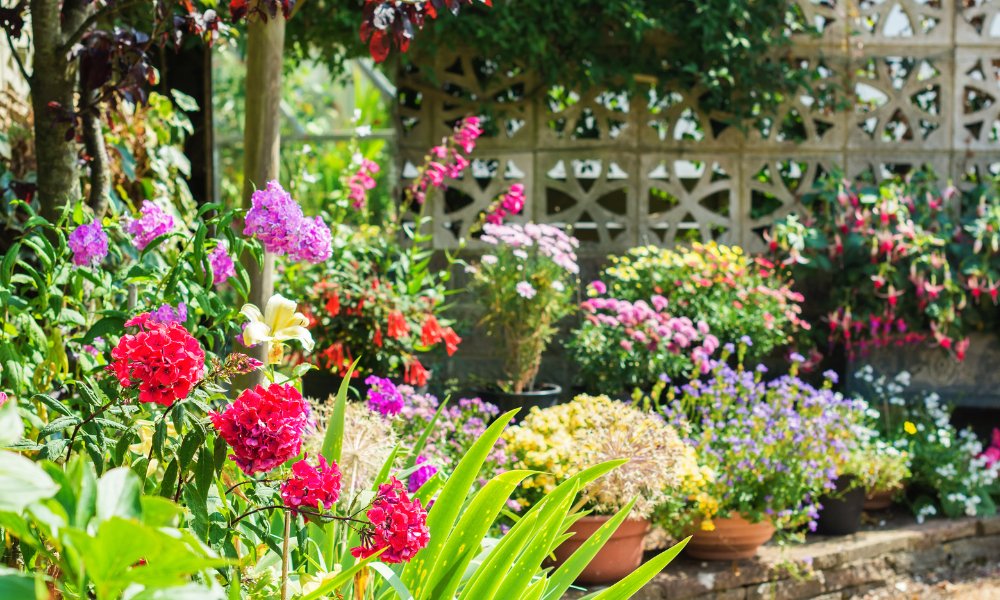 Why Proper Garden Maintenance is Essential for a Beautiful Yard