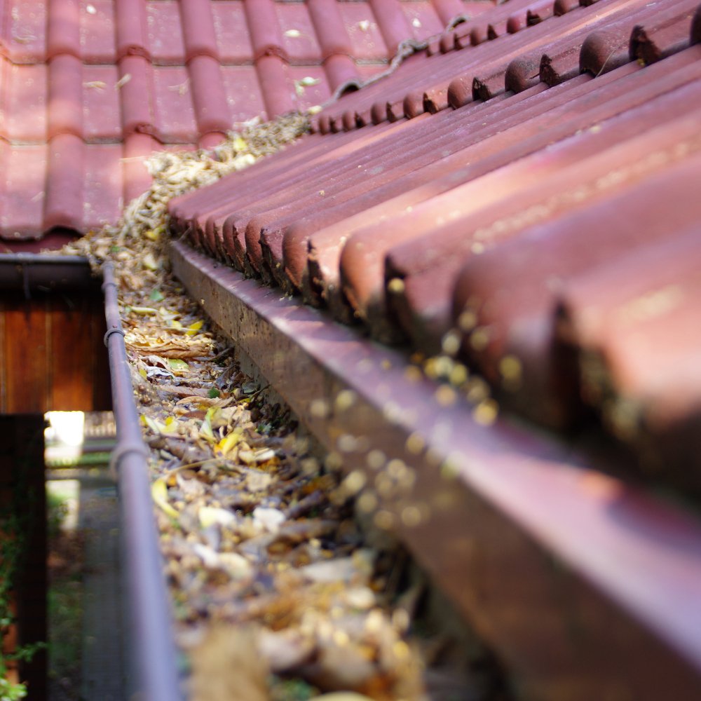 Gutter cleaning