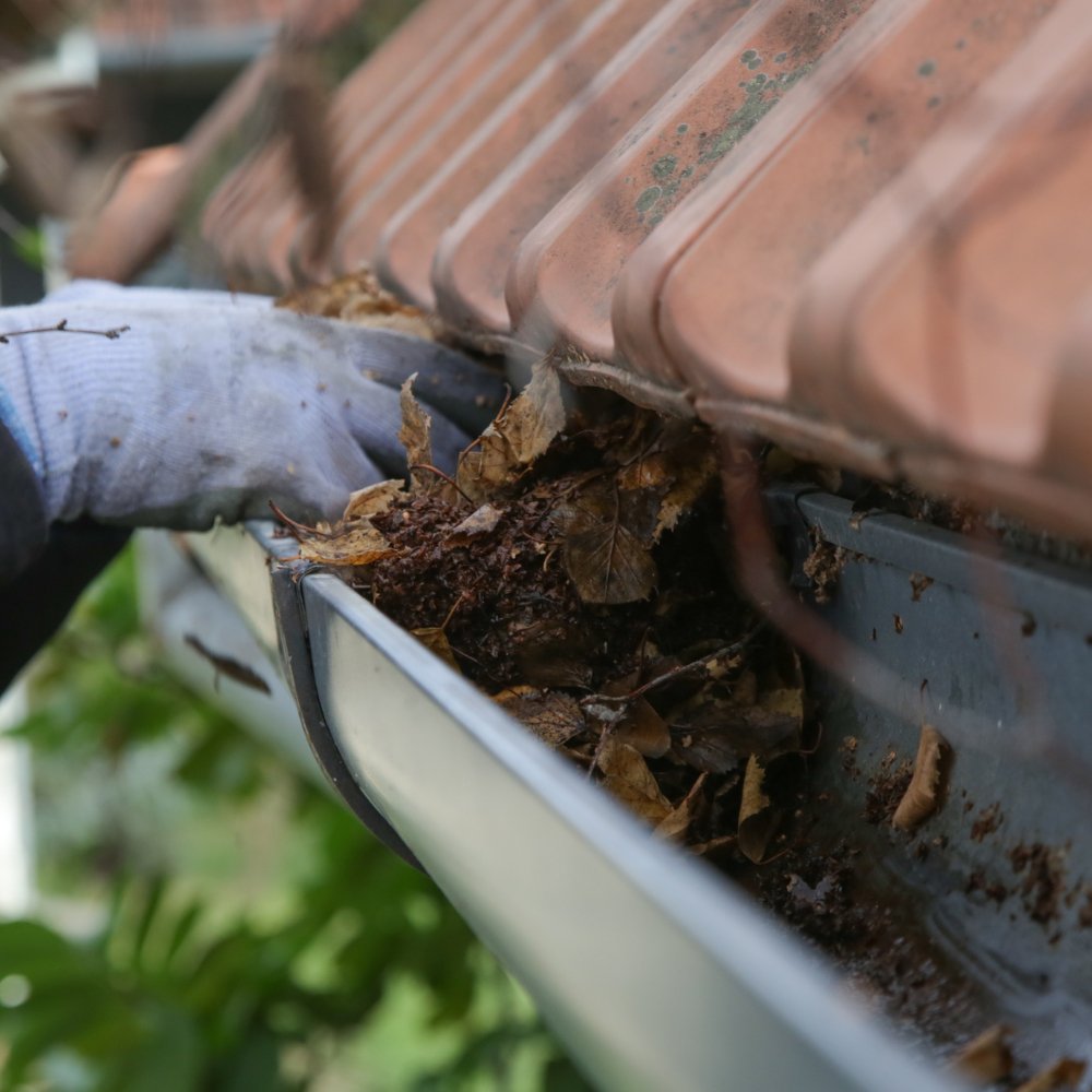 Gutter cleaning Only once - Ivan Art Landscaping, LLCServiceGutter cleaning Only onceSmall HouseGutter cleaning Only onceService #1