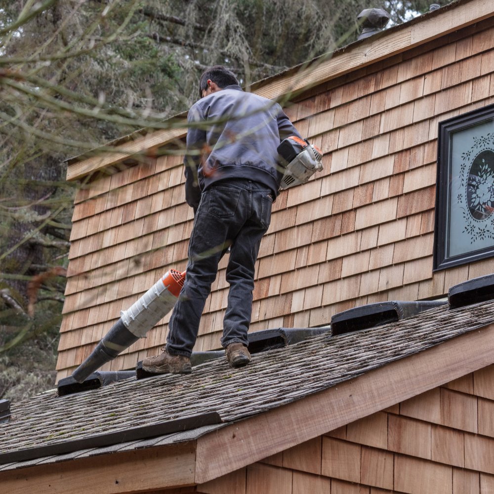 Gutter cleaning